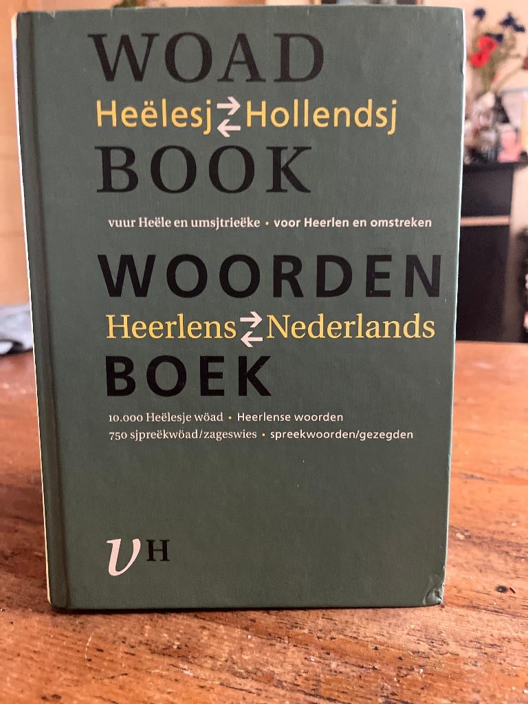 Heerlens Woordenboek - Heelesj Woadbook, Ophalen of Verzenden, Zo goed als nieuw