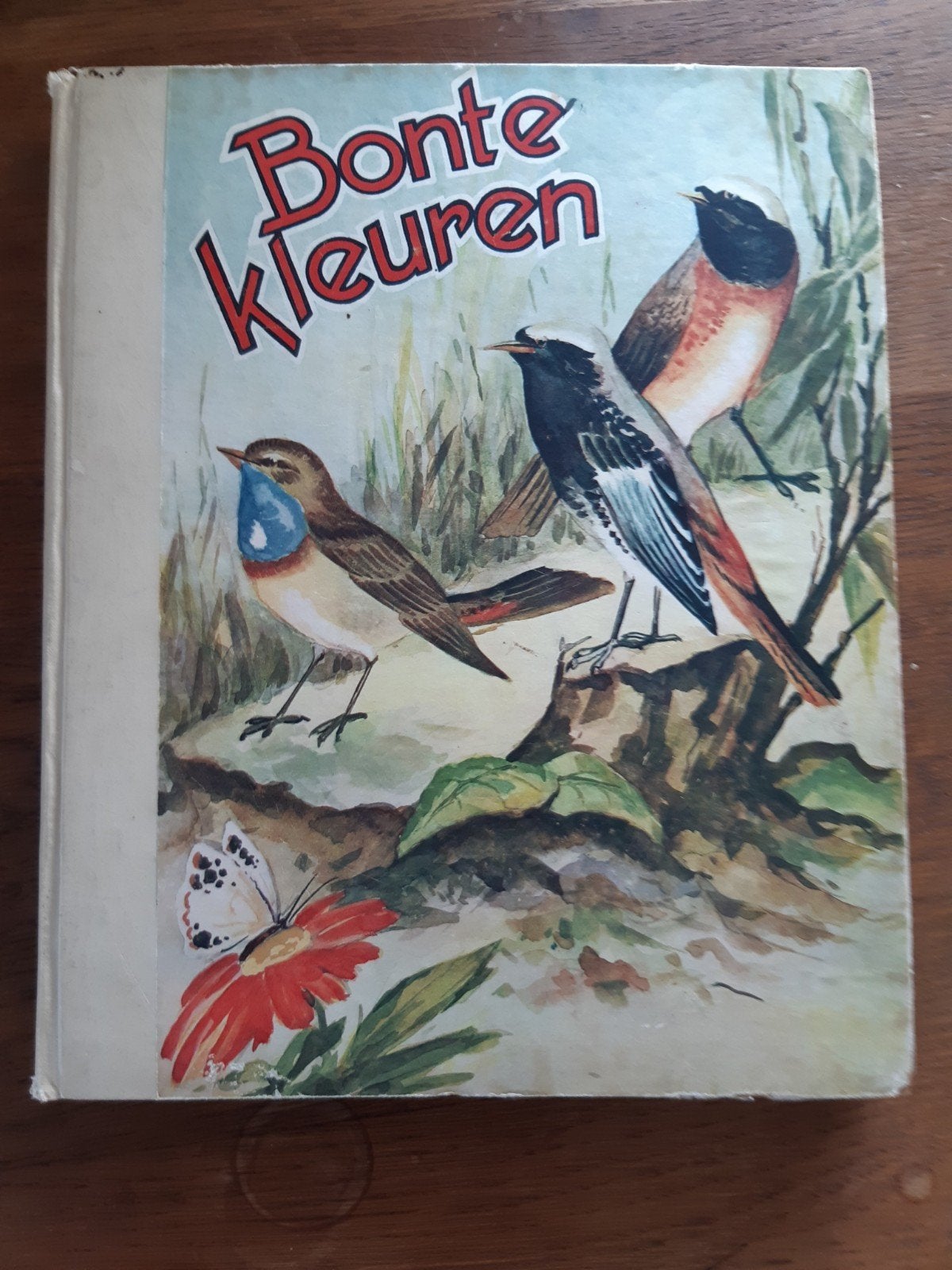 Bonte kleuren, Ophalen of Verzenden, Gelezen