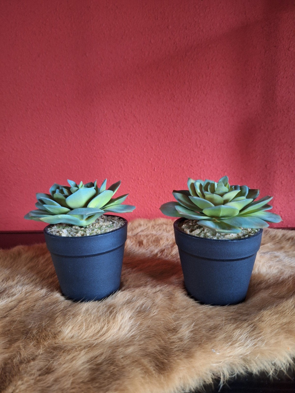 2x Kunstplantjes, vetplantjes, 12 cm hoog, Intratuin, Binnen, Groen, Onderhoudsvrij, Kunstplant