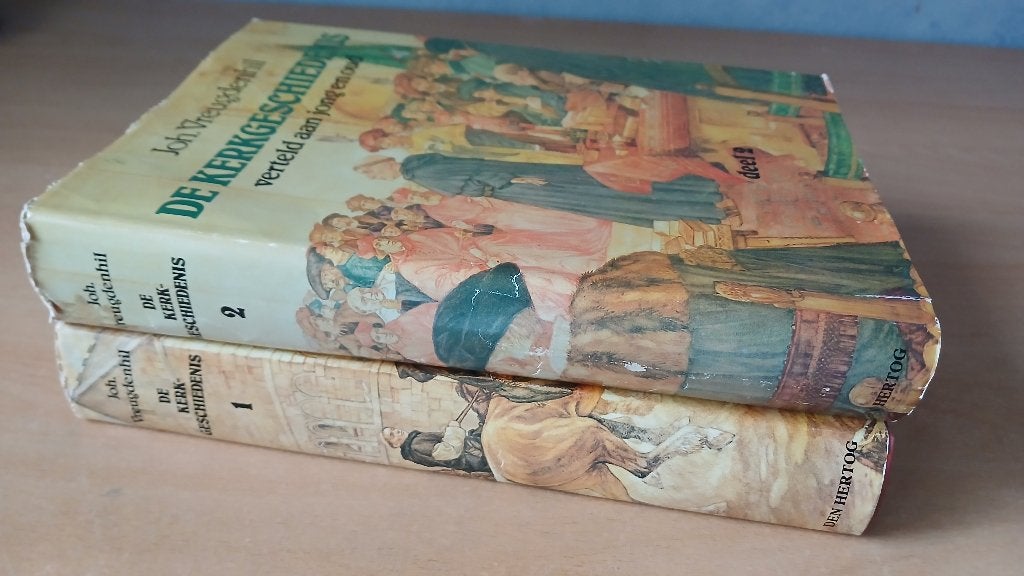 Kerkgeschiedenis, Vreugdenhil, Ophalen of Verzenden, Zo goed als nieuw, Christendom | Protestants