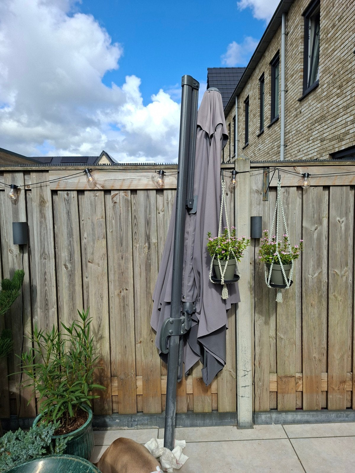 parasol + zware voet, Tuin en Terras, Ophalen, Gebruikt, 2 tot 3 meter, Verstelbaar
