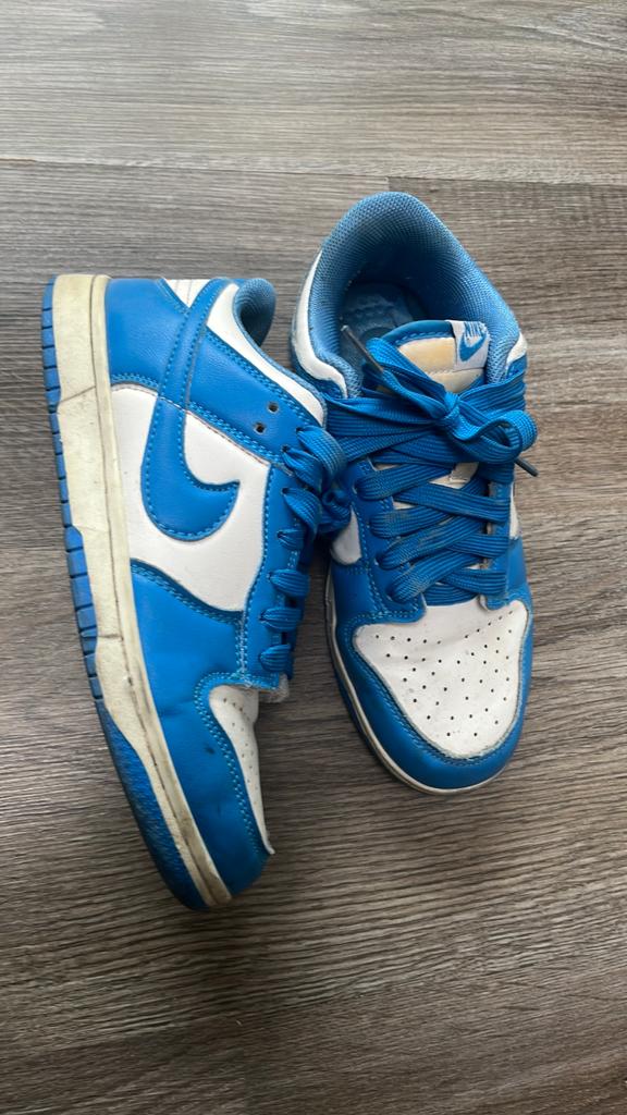 Nike dunks schoenen, Blauw, Ophalen of Verzenden, Sneakers of Gympen, Gedragen