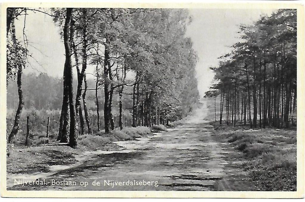 Nijverdal Nijverdalse weg Oude gelopen Ansichtkaart ( B858, Verzamelen, Ophalen of Verzenden, 1940 tot 1960, Gelopen