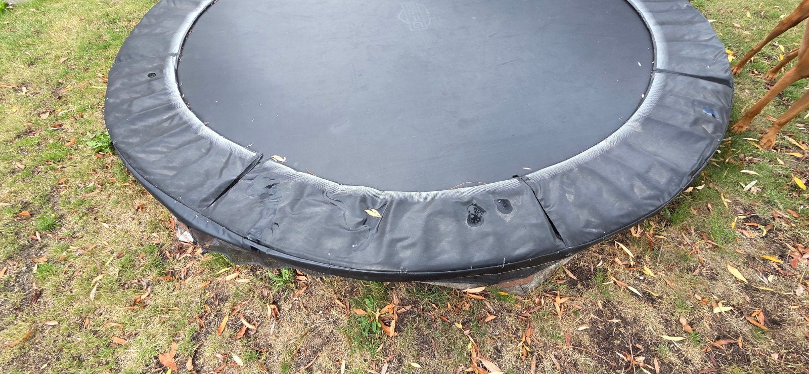 Berg InGround Favorit Trampoline 380 cm, Ophalen, Gebruikt