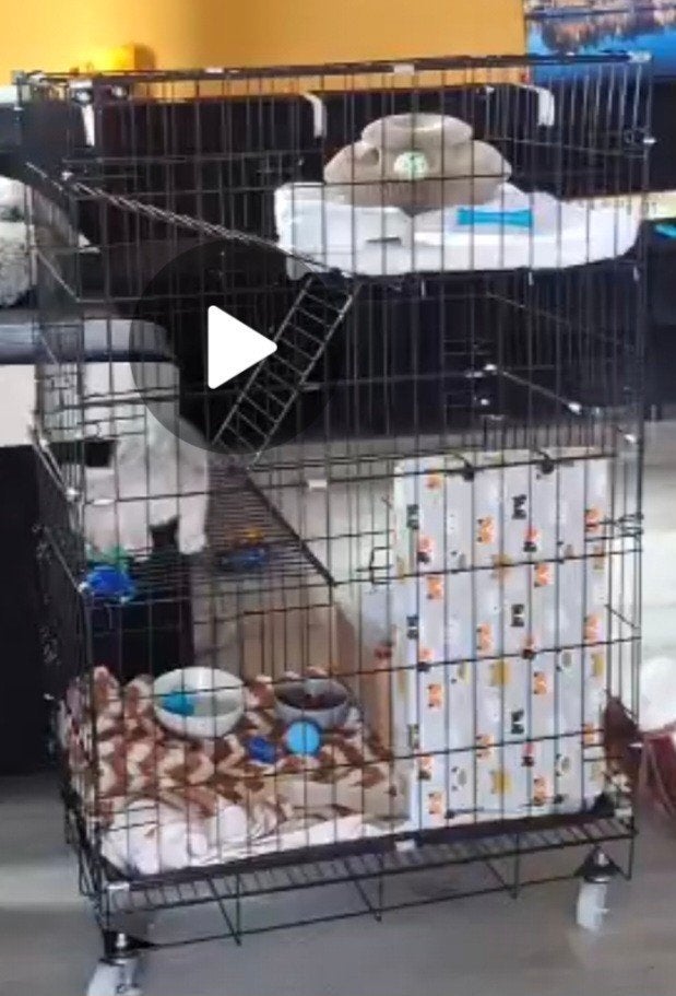kattenbench, Dieren en Toebehoren, Ophalen of Verzenden, Zelfreinigend, Nieuw, Open