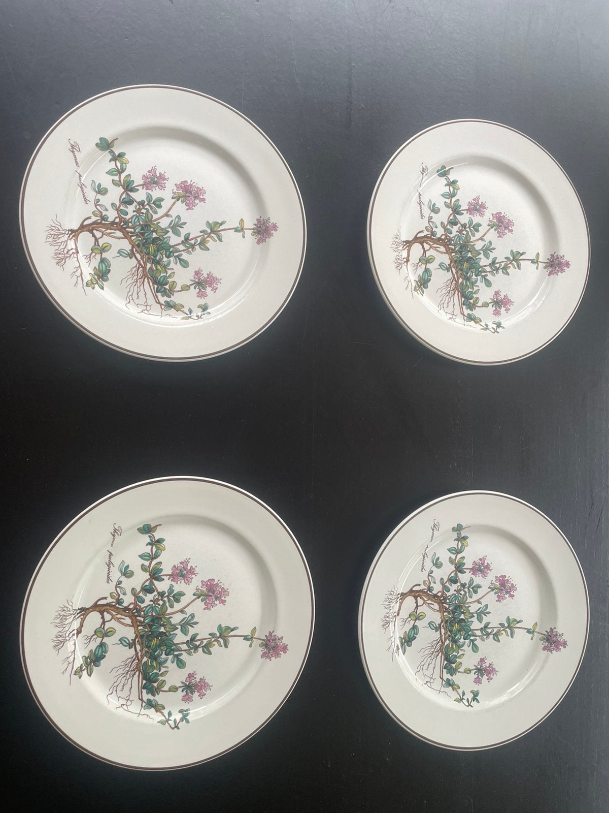 4x Villeroy & Boch Botanica ontbijtborden Thymas Pulegioides, Gebruikt, Villeroy & Boch, Ophalen of Verzenden, Bord(en)