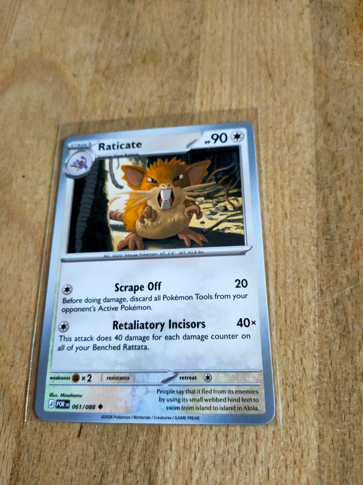 Raticate 061/088 Perfect Order Pokémon Kaart, Ophalen of Verzenden, Zo goed als nieuw, Losse kaart