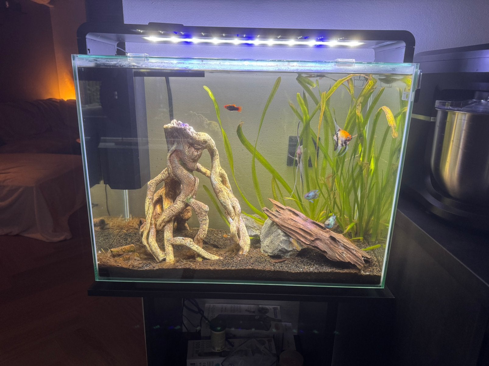 Aquarium superfish 85 home zwart met onderstel, Ophalen, Leeg aquarium