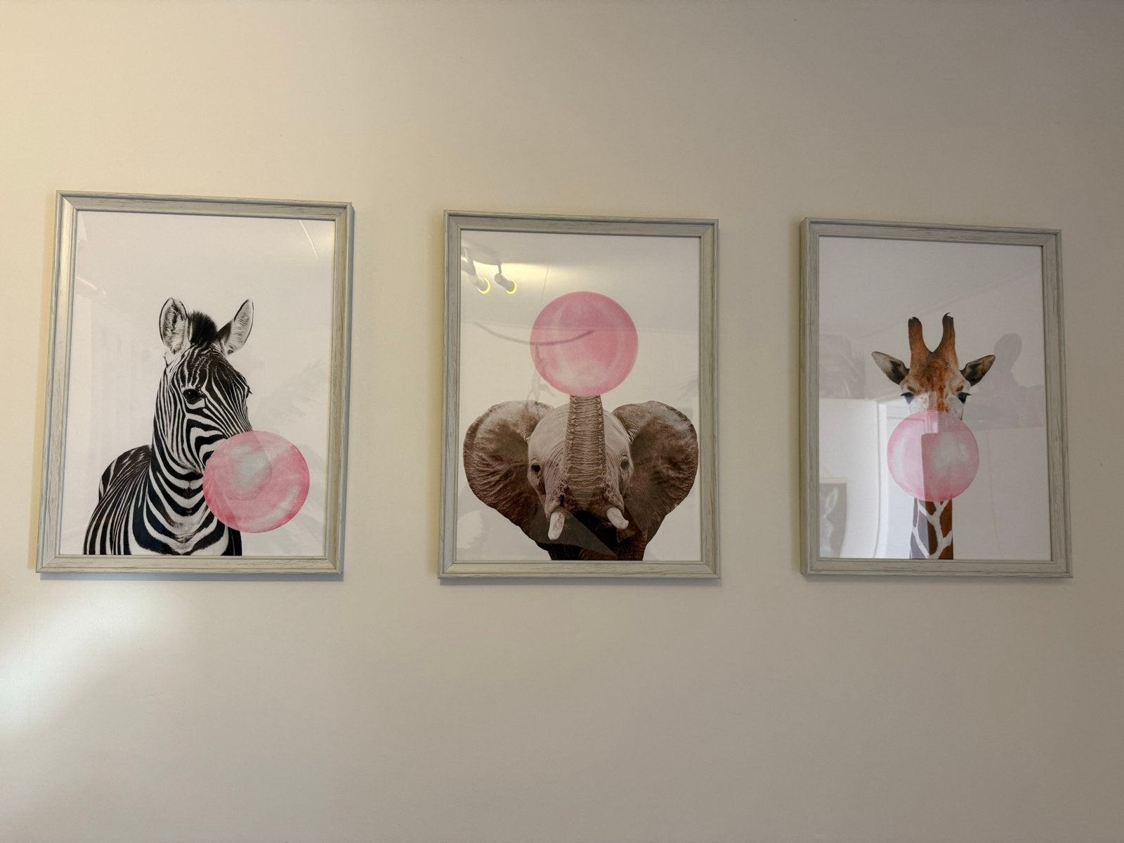 Set van 3 ingelijste dierenprints, Huis en Inrichting, Ophalen, 50 – 75, Minder dan 50 cm, Print