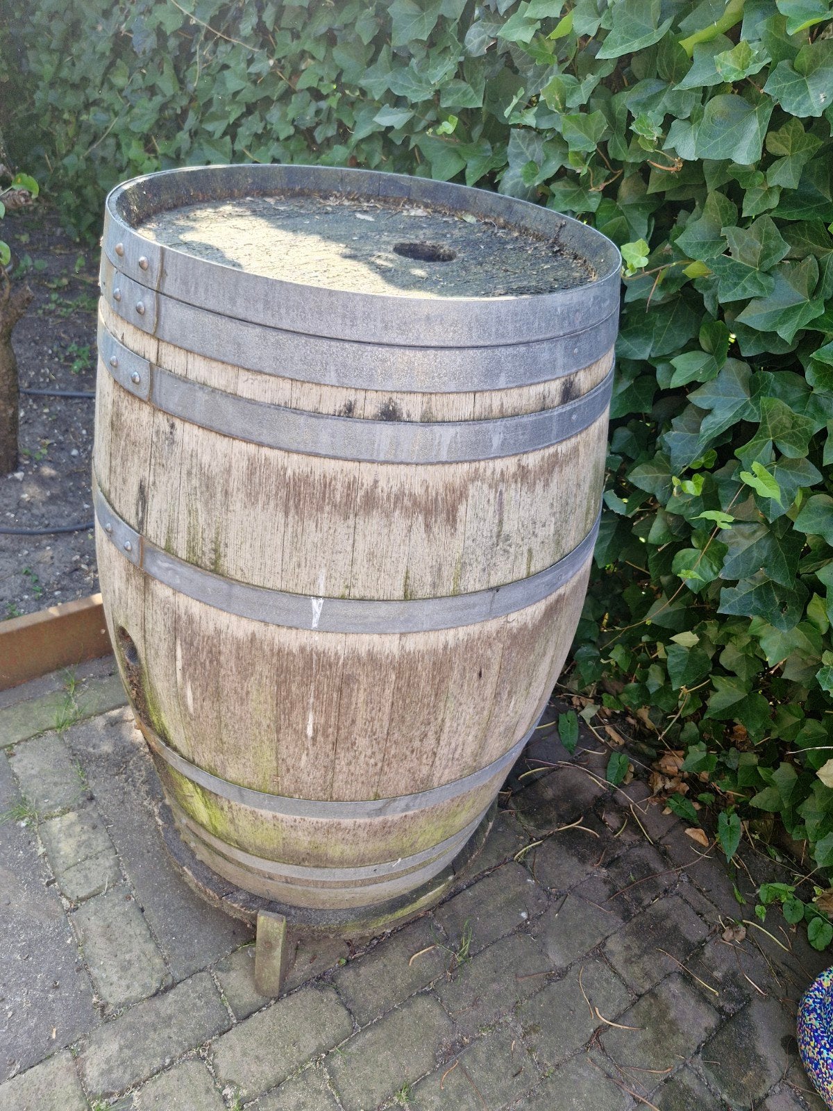 Regenton met nieuwe houten tapkraan, Ophalen, Gebruikt, Met kraantje, 75 tot 150 liter