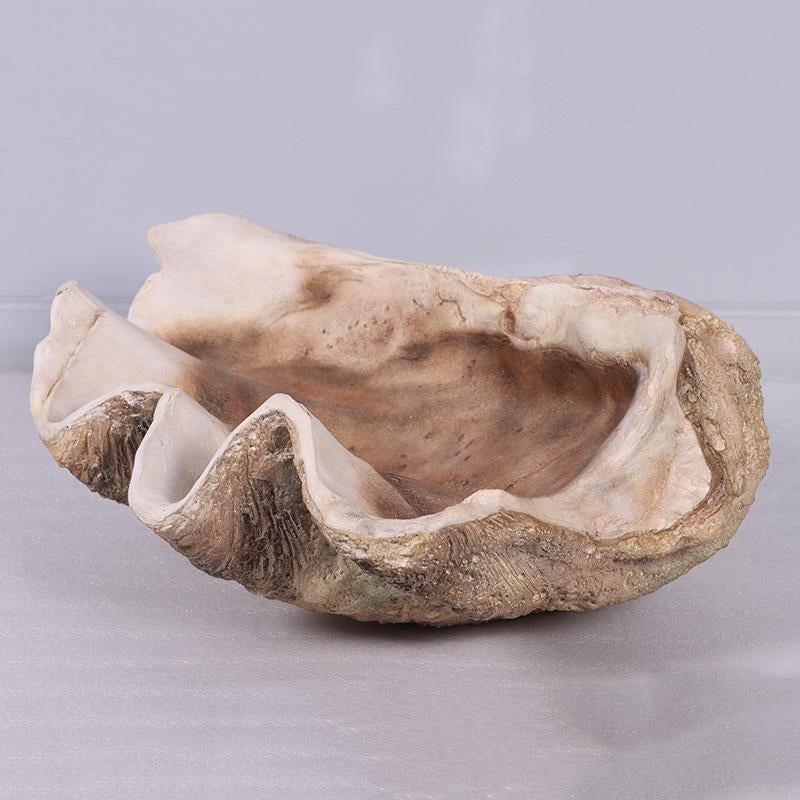 Giant Clam Shell – Mossel – Schelp Lengte 71 cm, Ophalen, Nieuw, Overige typen
