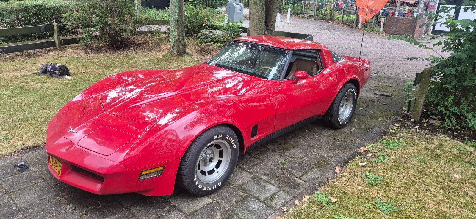 Corvette C3 1981, Auto's, Chevrolet, Automaat, Achterwielaandrijving, 190 pk, Leder