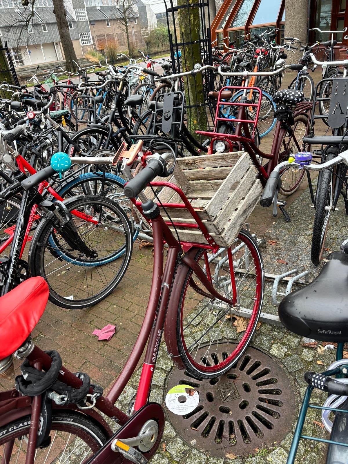 Kwijt / Gestolen Batavus fiets rood damesfiets, Fietsen en Brommers, Ophalen, Zo goed als nieuw, Terugtraprem, Batavus