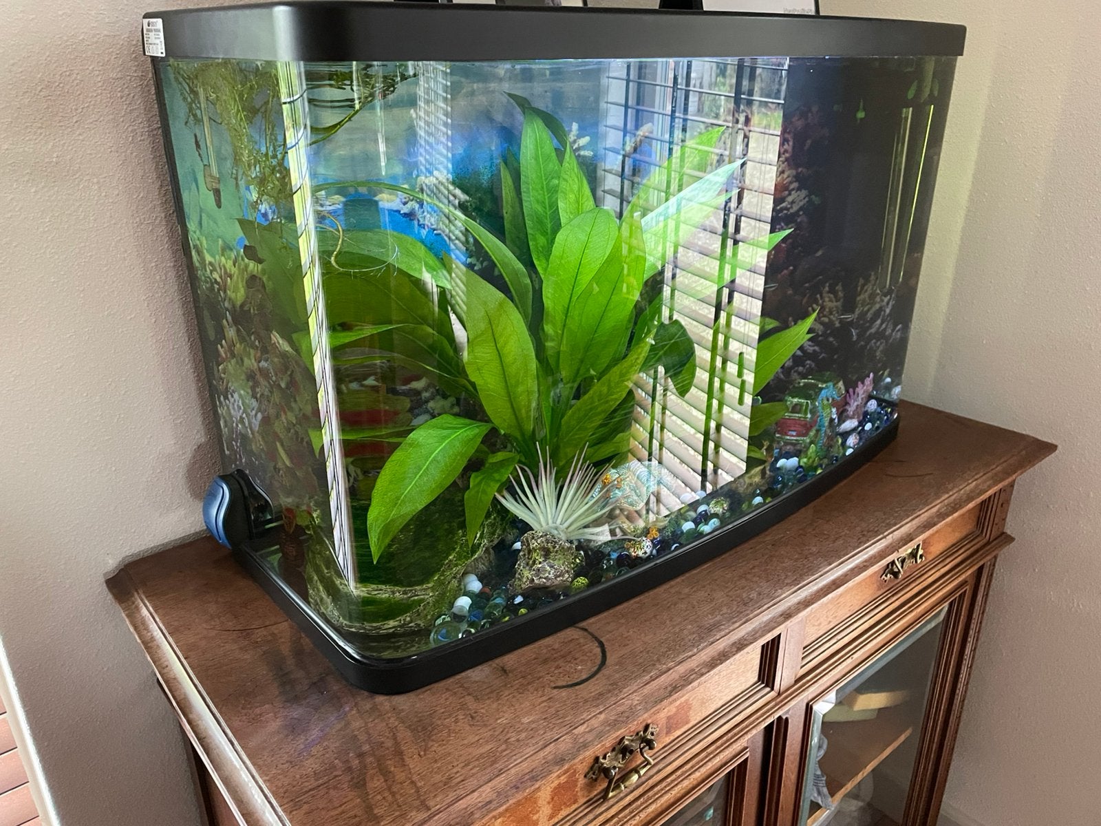 Te koop aquarium br. 76 cm x h 46 cmx d. 30 cm, Ophalen, Gebruikt, Gevuld zoetwateraquarium