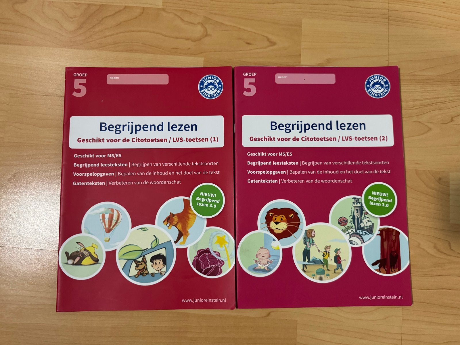 Begrijpend Lezen Groep 5 - Junior Einstein (deel 1 & 2), Ophalen of Verzenden, Zo goed als nieuw, LBO