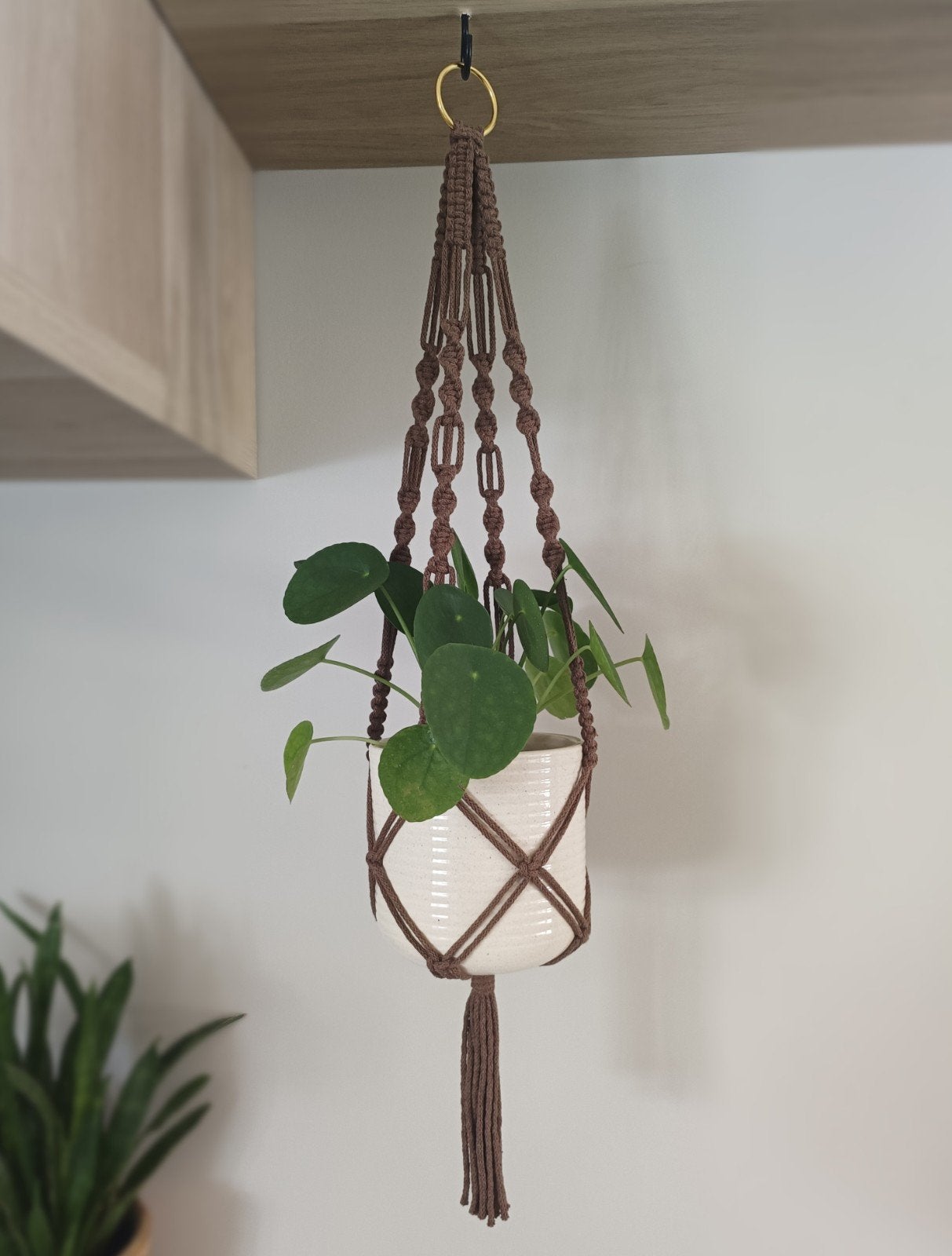 Macramé plantenhanger, Ophalen of Verzenden, Nieuw, Bruin