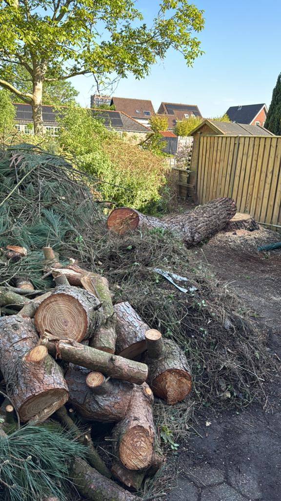 Gratis hout, Tuin en Terras, Ophalen of Verzenden