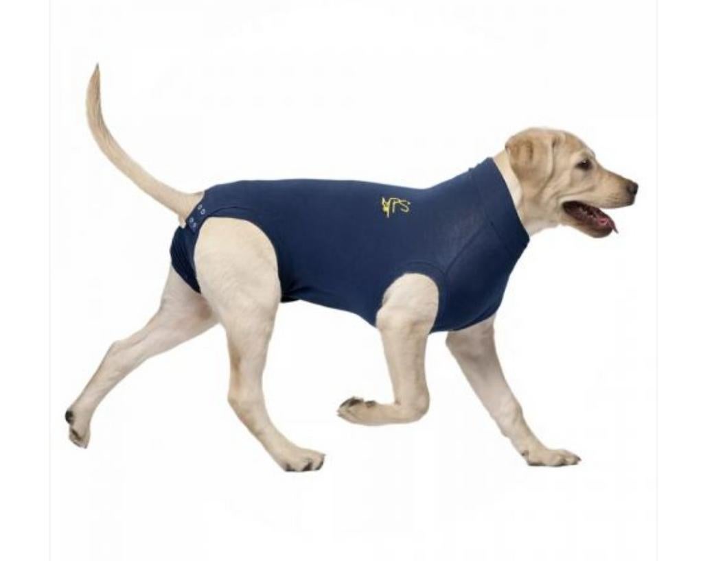 Honden romper maat S+, Ophalen of Verzenden, Zo goed als nieuw