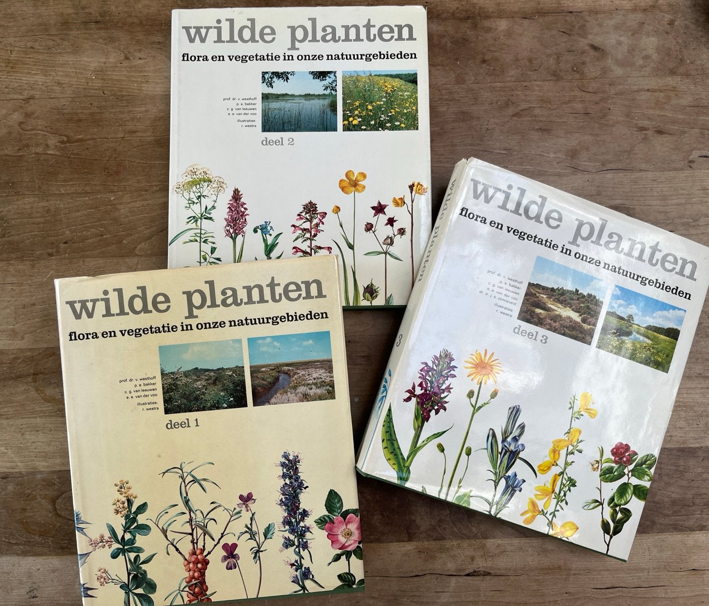Wilde Planten: Flora en Vegetatie in onze Natuurgebieden 3dl, Ophalen of Verzenden, Zo goed als nieuw, Bloemen, Planten en Bomen