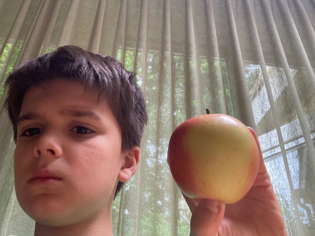 Een appel, Verzenden