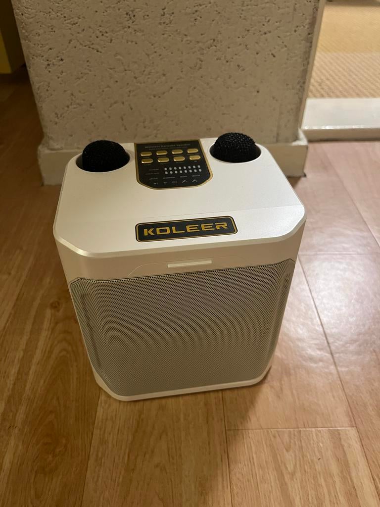 Karaoke apparaat met microfoons - KOLEER, Ophalen of Verzenden, Zo goed als nieuw, Complete set