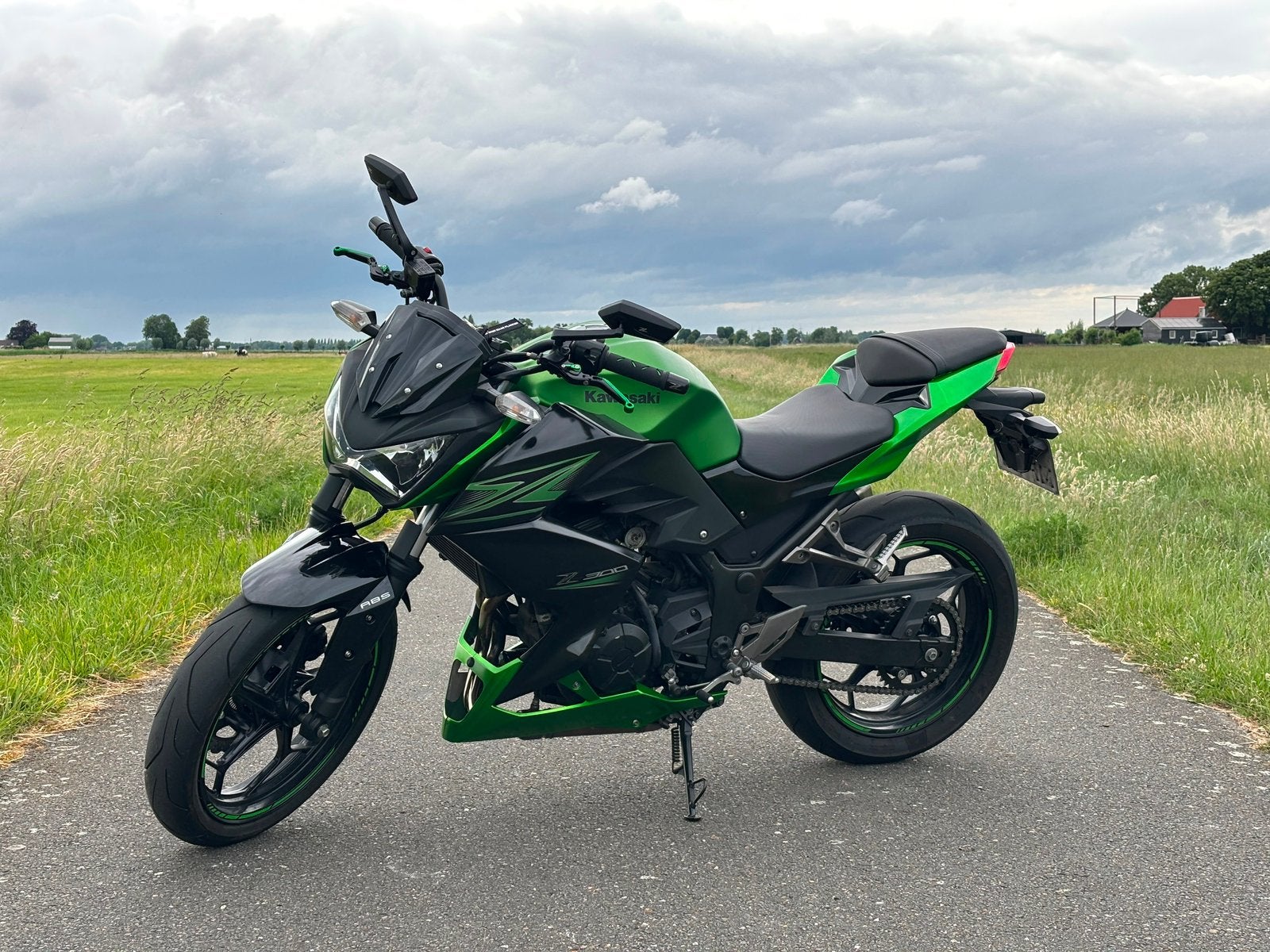 Kawasaki Z300 ABS (2015), Motoren, Motoren | Kawasaki, 2 cilinders, 300 cc, Particulier, Minimaal motorrijbewijs A2