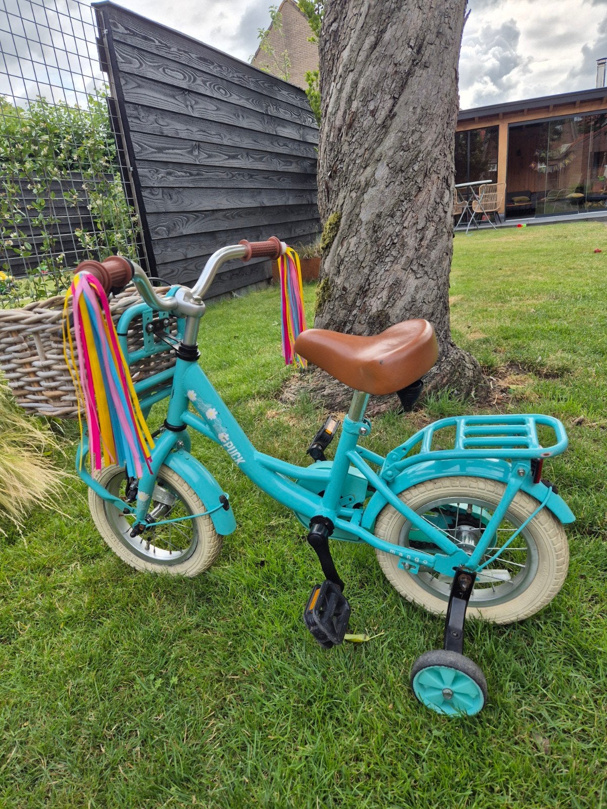Leuke 14 inch Puck kinderfiets met zijwieltjes en mand, Fietsen en Brommers, Fietsen | Kinderfietsjes, Gebruikt, Minder dan 16 inch
