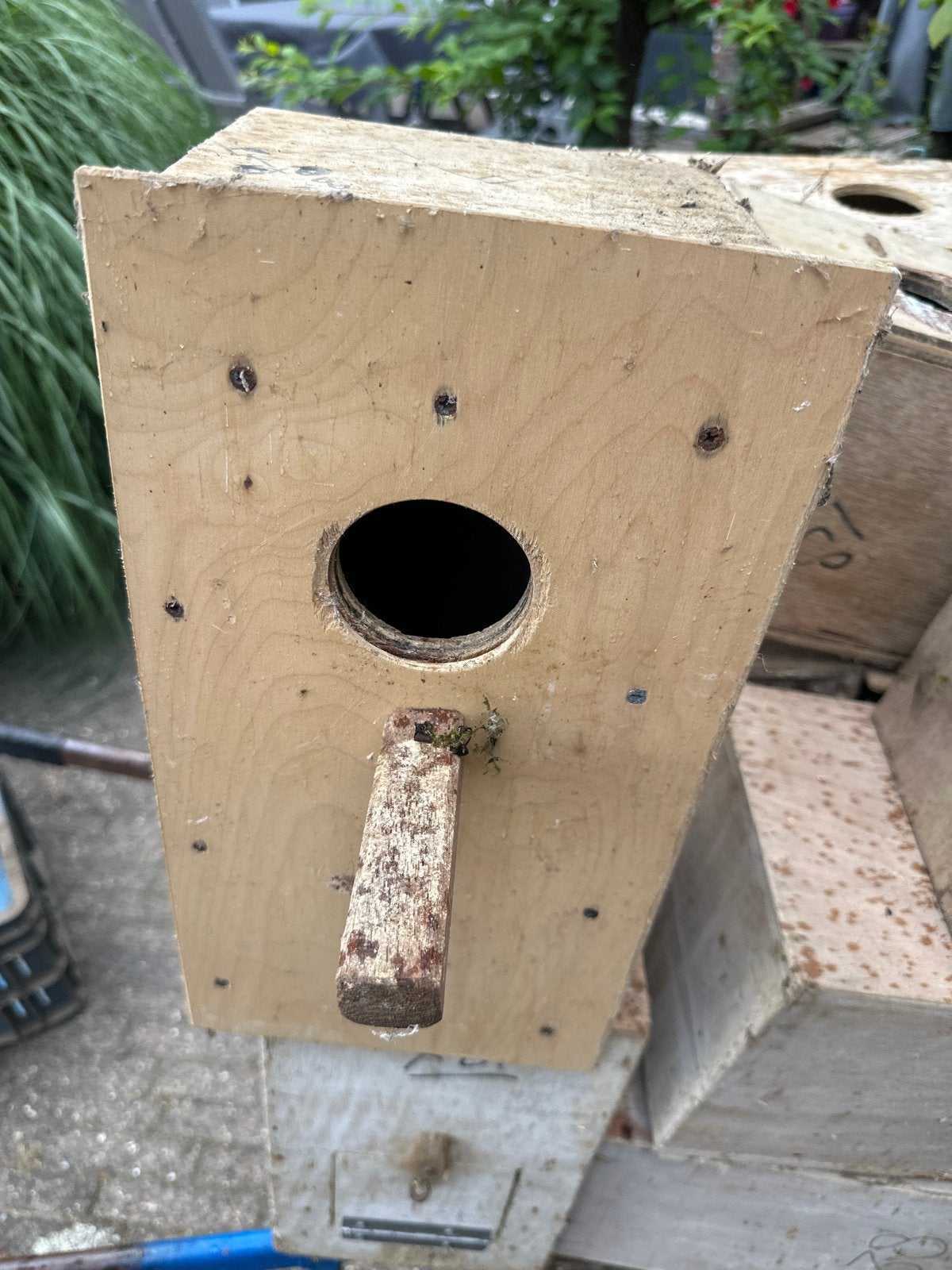 Nestblokken, Ophalen, Hout, Vogelkooi