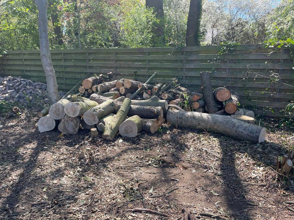 Diverse houtblokken en stammen voor brandhout, Tuin en Terras, Haardhout, 6 m³ of meer, Ophalen, Overige houtsoorten, Blokken