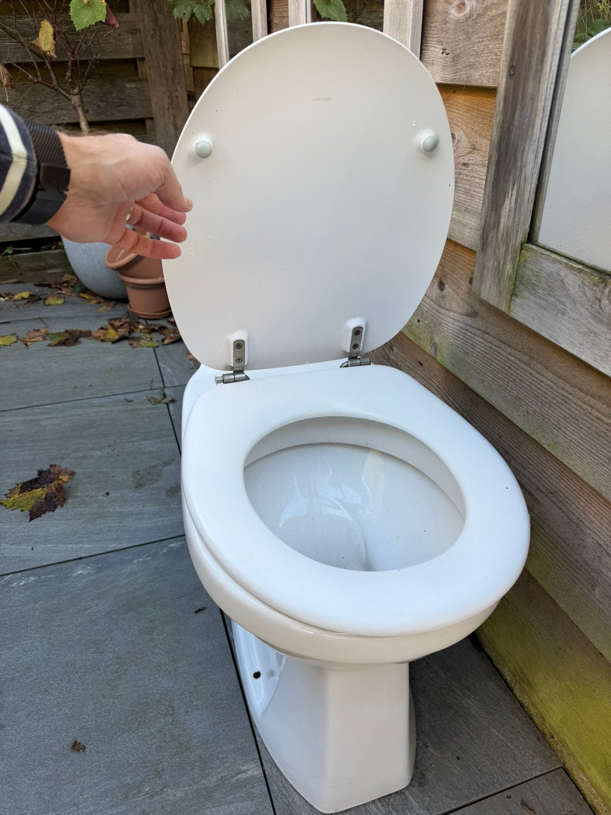 Gratis Sphinx keramische toiletpot, Ophalen, Gebruikt, Toilet