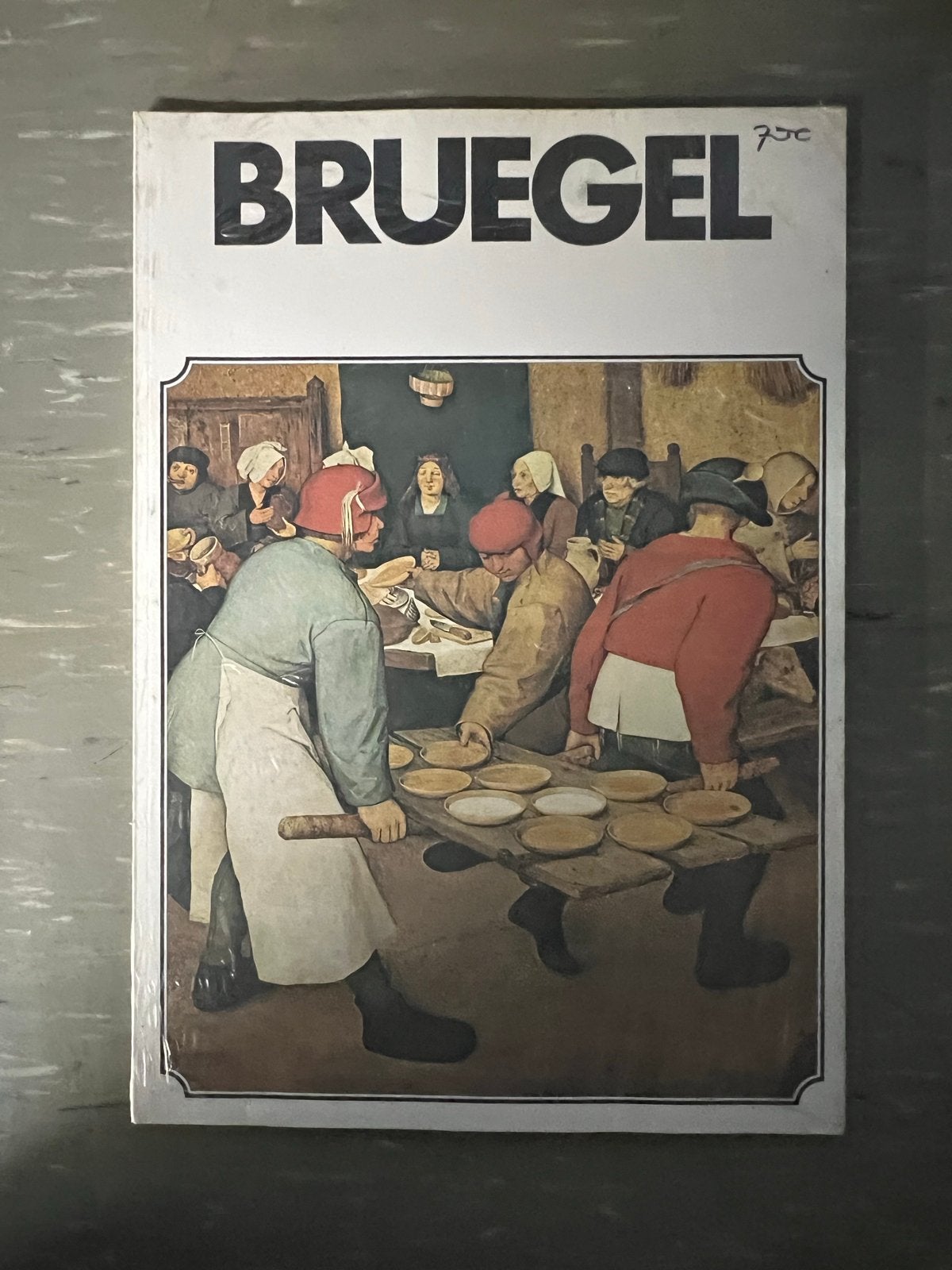 Bruegel Kunstboek - Met vele afbeeldingen in kleur, Boeken, Ophalen of Verzenden, Gelezen, Schilder- en Tekenkunst