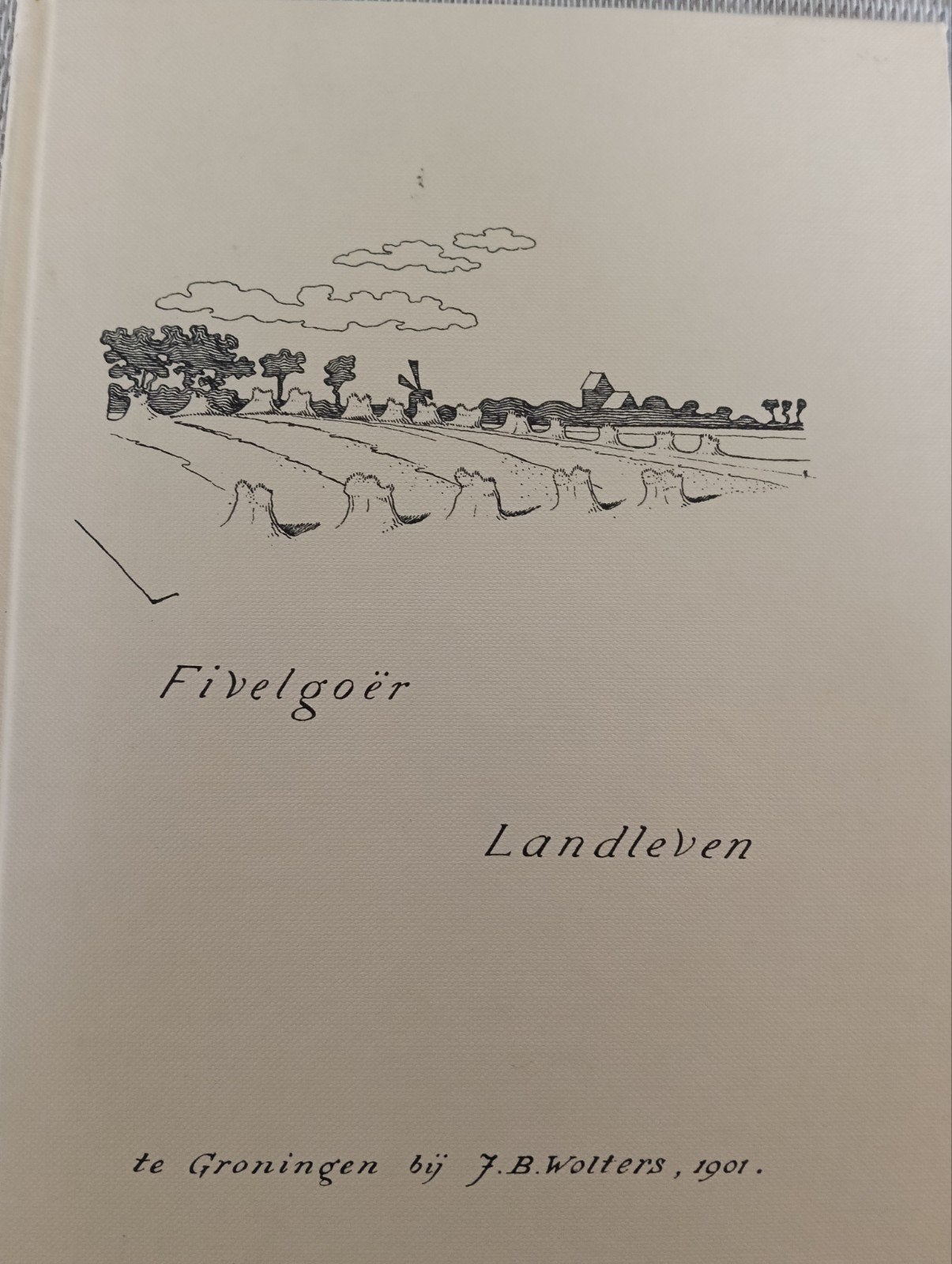 Fivelgoër Landleven - Reprint Stichting 't Grunneger Bouk, Boeken, Ophalen of Verzenden