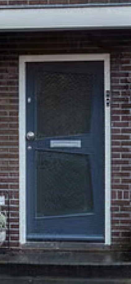 Voordeur met Glas en Brievenbus, Doe-het-zelf en Verbouw, Deuren en Horren, Ophalen, Gebruikt, 80 tot 100 cm, Buitendeur