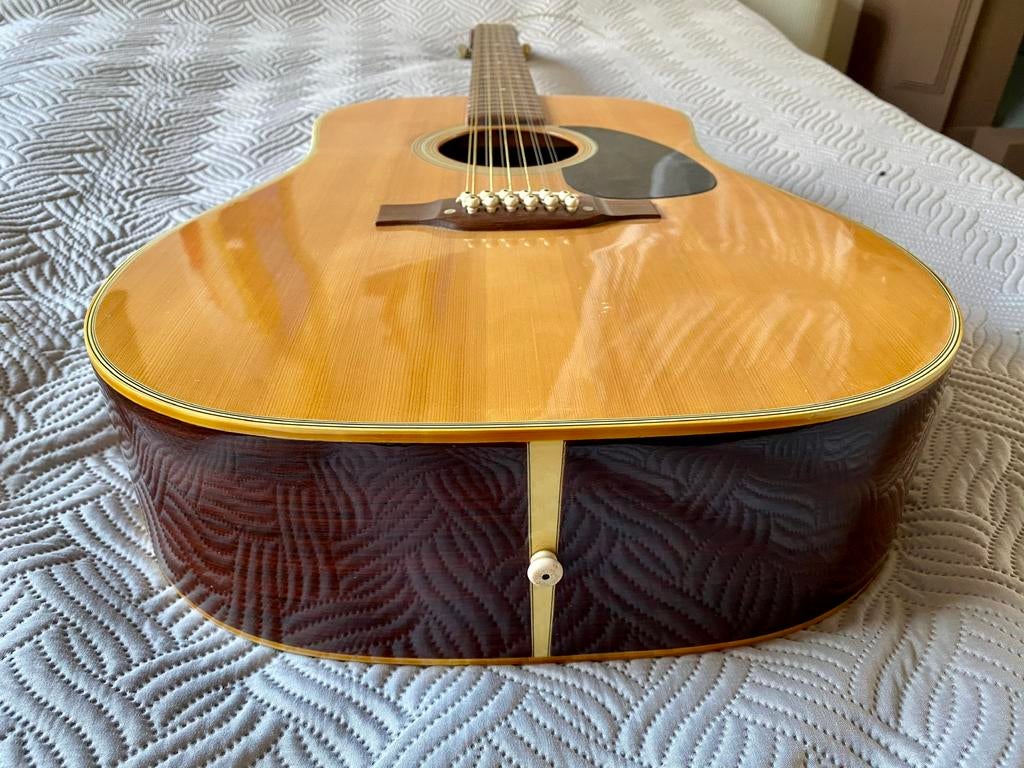 Rokkoman 12 snarige gitaar, Muziek en Instrumenten, Ophalen, Zo goed als nieuw, Overige typen, 12-snarig