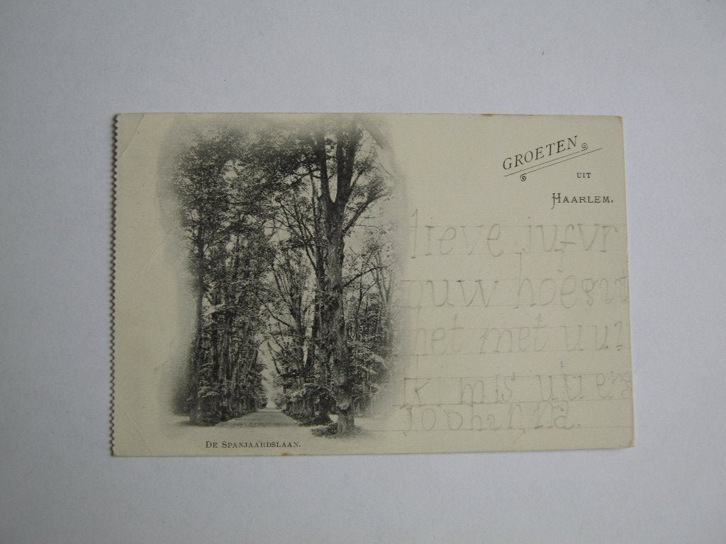 Ansichtkaarten Nederland, TC 9-81 GROETEN uit Haarlem 1909, Ophalen of Verzenden, Voor 1920, Gelopen, Noord-Holland