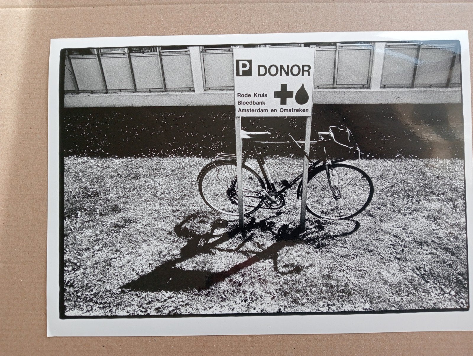 Peter Boer Bloedbank Amsterdam 1993, Ophalen of Verzenden, 1980 tot heden, Zo goed als nieuw, Overige onderwerpen