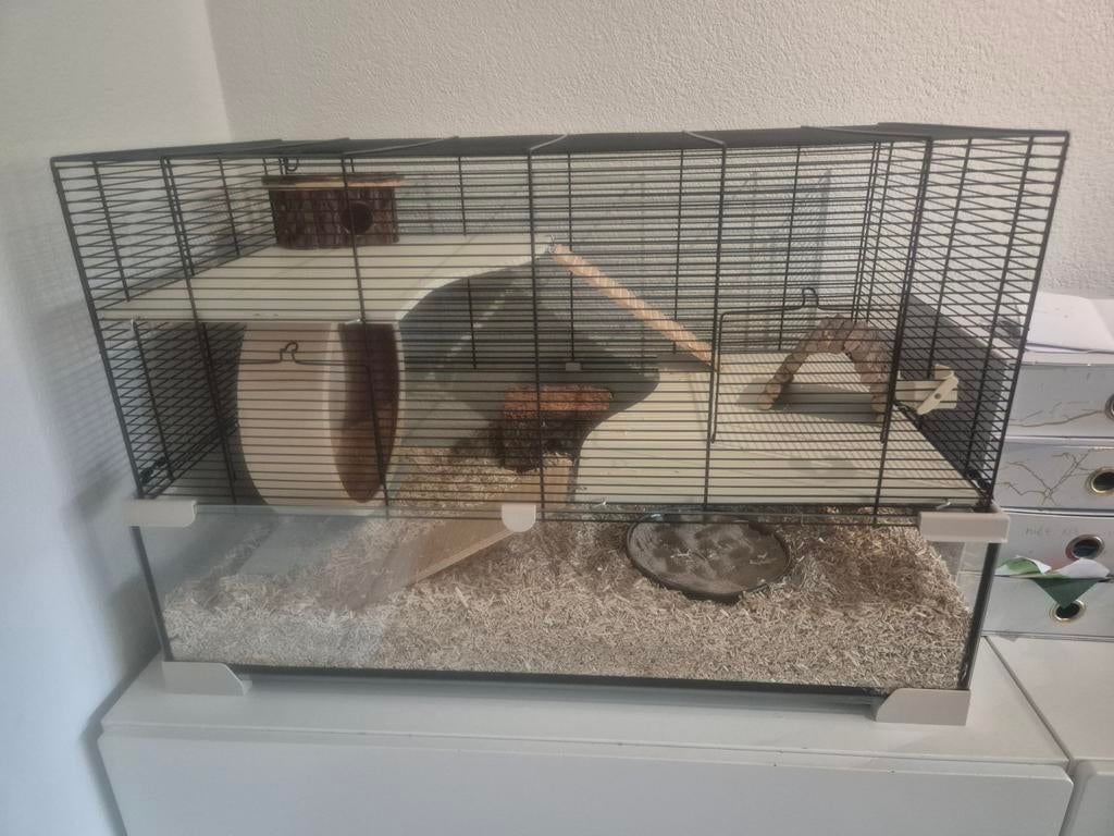 Hamsterkooi met glazen bak incl. toebehoren, Kooi, Gebruikt, Hamster, 75 tot 110 cm