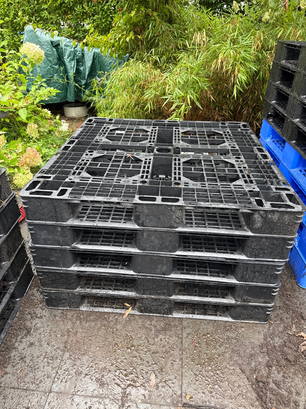Kunststof Pallets - 110x110 cm, Ophalen, Gebruikt, 100 cm of meer, 60 cm of meer
