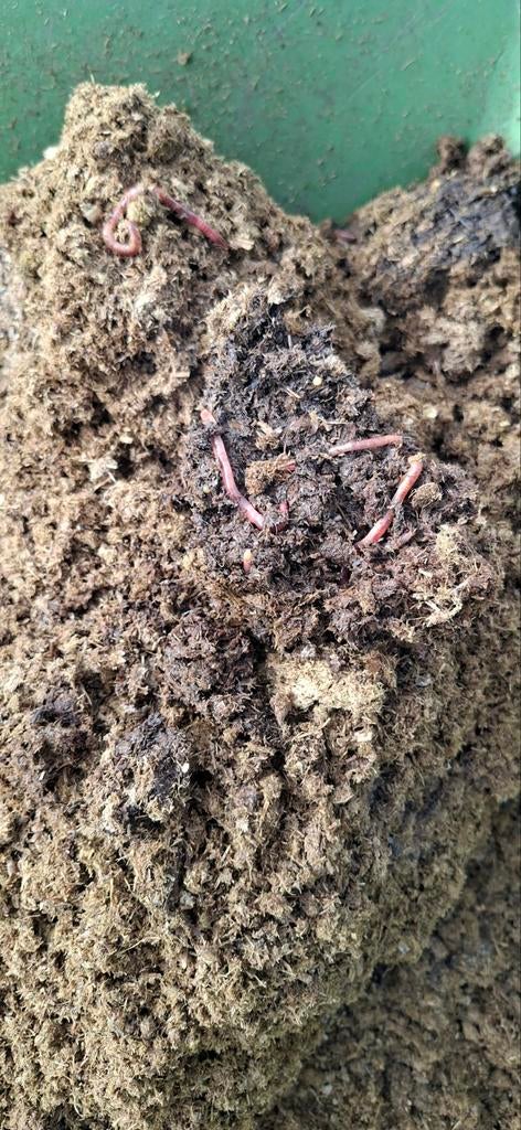 Koemest gescheiden 🌱  | bodemverbeteraar | moestuin mest, Ophalen, Mest