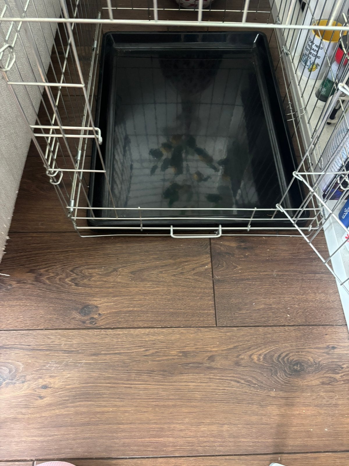 Honden bench plus gratis vervoersreismand, Ophalen, Zo goed als nieuw, Minder dan 75 cm, Minder dan 65 cm