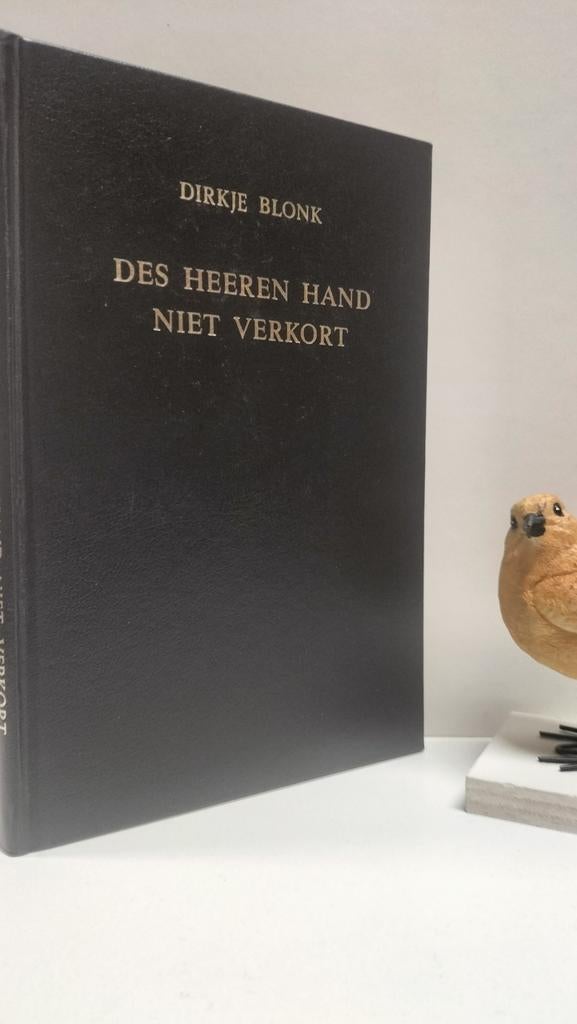Vlot, Marie; Dirkje Blonk Des Heeren Hand niet verkort, Ophalen of Verzenden, Gelezen, Christendom | Protestants
