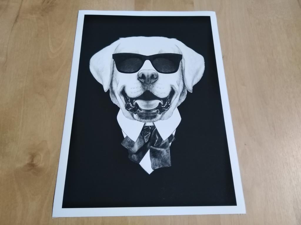 Canvas poster labrador met zonnebril, Minder dan 50 cm, Nieuw, Ophalen of Verzenden, Foto of Poster