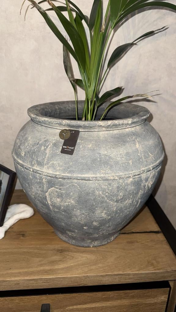 Brynxz pot gezocht !, Ophalen of Verzenden, Zo goed als nieuw, Overige kleuren, Minder dan 50 cm