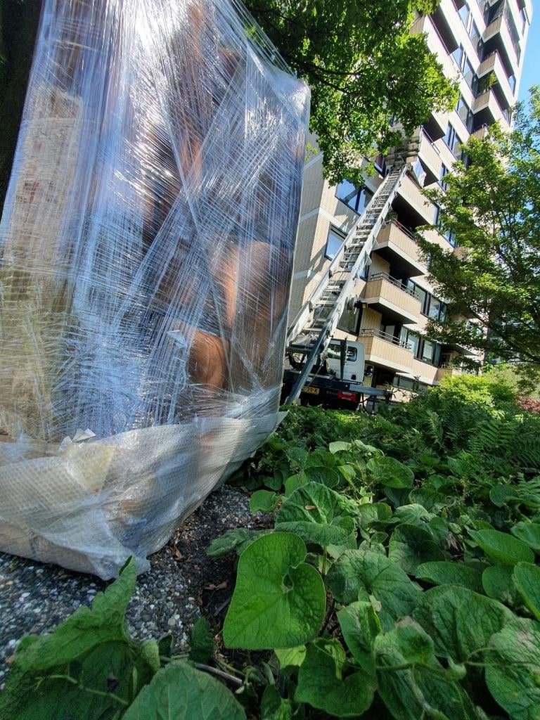 Foto 14 van Verhuislift Amsterdam . verhuisliftservices.ladderlift