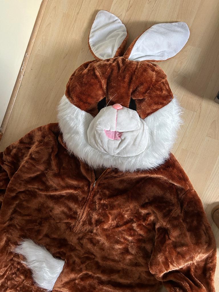 Pluche Mascotte Haas Pak/ konijn Kostuum, Hobby en Vrije tijd, Feestartikelen | Verhuur, Ophalen, Gebruikt, Pasen