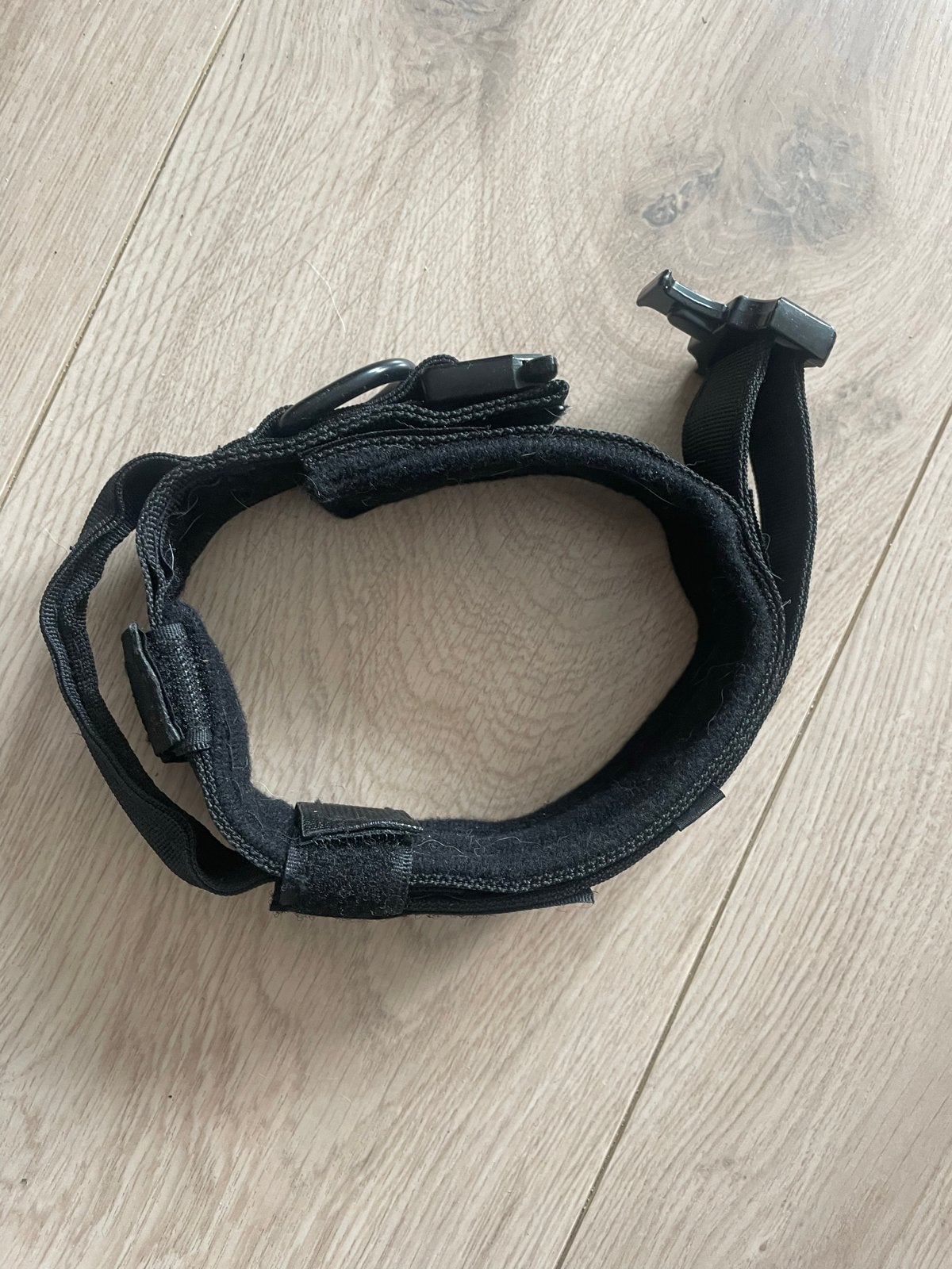 Robuuste hondenhalsband, Dieren en Toebehoren, Ophalen of Verzenden, Nieuw