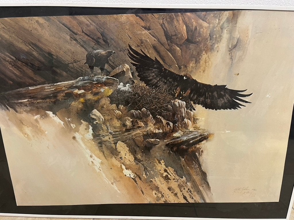 Monarch of the Sky - Golden Eagle; Morten Solberg, Ophalen
