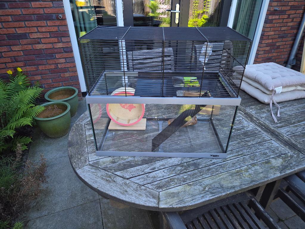 Hamsterkooi, Dieren en Toebehoren, Kooi, Gebruikt, Minder dan 75 cm, Cavia