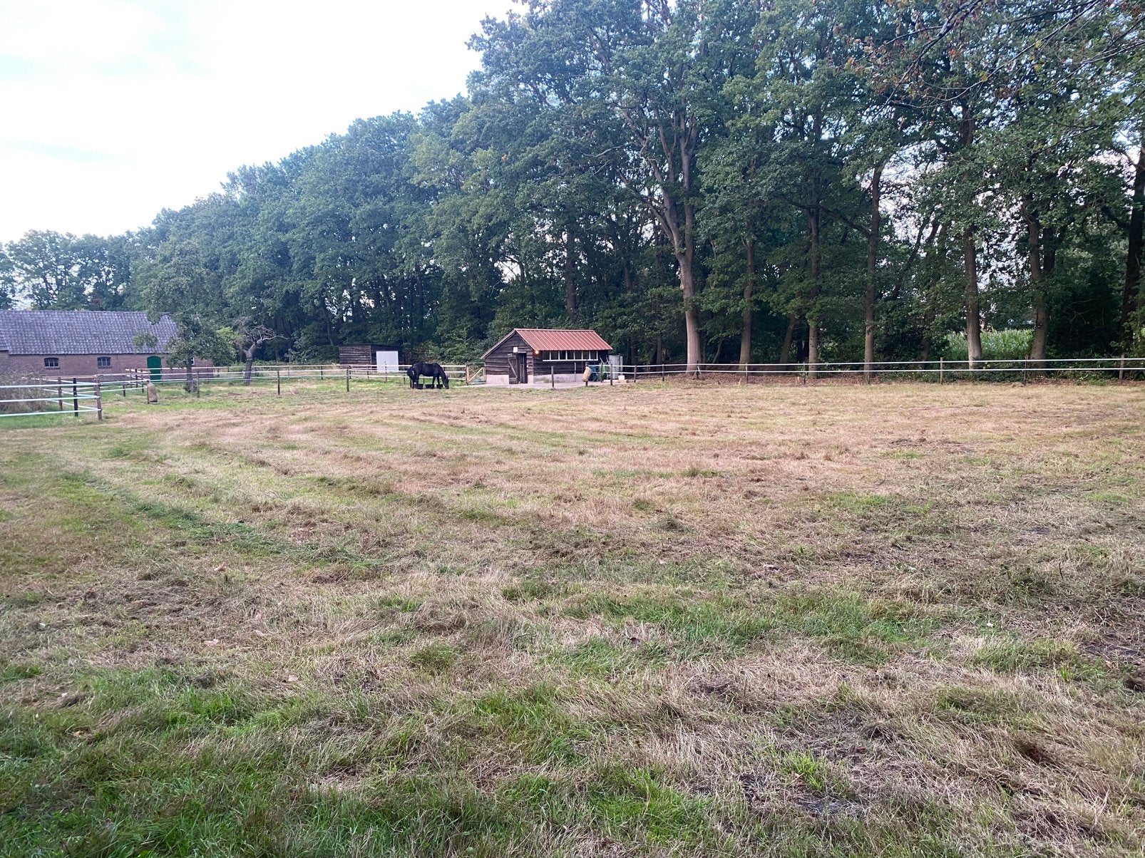 Paddock paradise/stalling/plekje aangeboden Veenendaal, Weidegang, 1 paard of pony