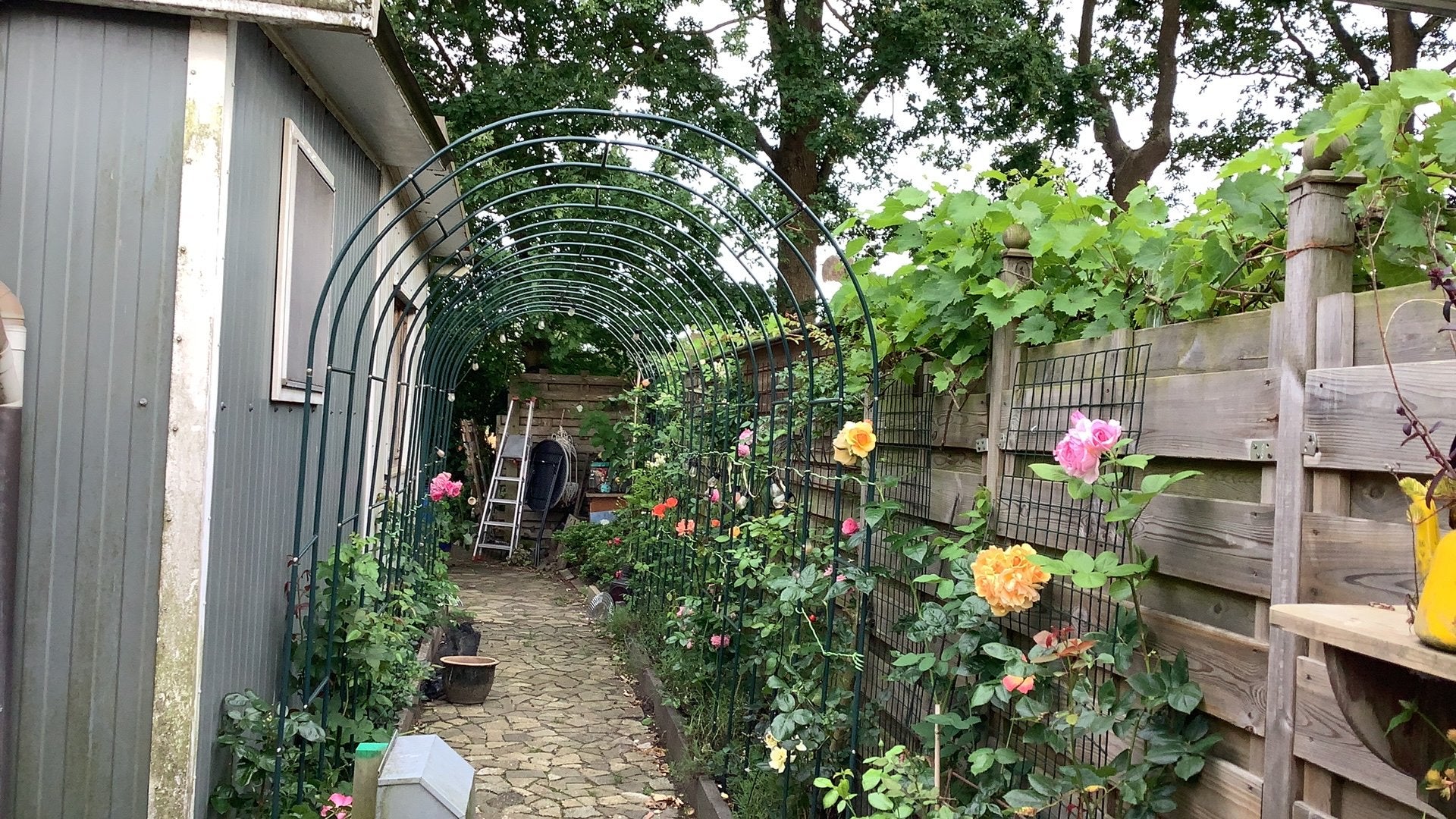 Huisje te huur - recreatiepark Kniphorst Anloo, 50 m² of meer, Groningen